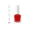 13 ml Oje, 290 Numaralı Renk