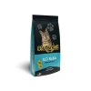 15 kg Balıklı Yetişkin Kedi Maması