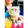 1.5 kg Somon Aromalı Düşük Tahıllı Kedi Maması