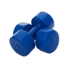 1DYASVINYL Dumbell, Unisex