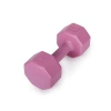 2 Adet 3 kg Dambıl Seti, Pembe Renk ve Dayanıklı Malzeme