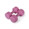 2 Adet Pembe Dambıl Seti, 2 kg Ağırlık