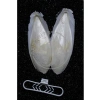 2li Mürekkep Balığı Kemiği, 12-13 cm ve Tutacak