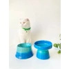 2li Set Turkuaz Seramik Mama ve Su Kabı
