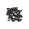 20 Adet Organik Purple Cayenne Biber Tohumu, Yüksek Verim İçin İdeal Seçim