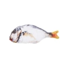 20 cm Balık Şekilli Peluş Evcil Hayvan Oyuncağı, Eğlenceli Oyun