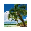 2000 Parça Panorama Puzzle, Paradise Palm Temalı Eğlenceli Aktivite