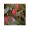 250 gr tropikal cichlid spirulina pul balık yemi