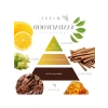 250 ml Sandal Wood Yedek Esans