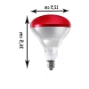 250W Kırmızı Işık Isıtıcı Lamba E27