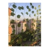 2,5x10 Metre Balkon Filesi, Kuş Önleme Ağı