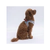 2XS Boyutunda Air-Mesh Köpek Göğüs Tasması