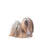 3 Kg Mini Köpek Maması - Dengeli Beslenme İçin