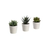 3lü Paket Yapay Saksı Bitkisi - Etli Yapı ve Modern Tasarım