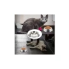 300 ml Paslanmaz Çelik Kedi Mama ve Su Kabı, Kaymaz Tabanlı