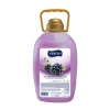3000 Ml Böğürtlen Aromalı Sıvı Sabun