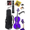 4/4 Boy Keman Seti, Mor Renk, Yedek Tel ve Çanta Dahil