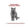 4 Kg British ShortHair Yetişkin Kedi Maması, Özel Formül