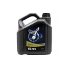 4 Litre Tam Sentetik Motor Yağı 5W/30 DPF