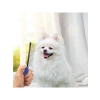 40Gr Cat Traction Kedi Otu Tozu