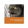 50 gr Kedi Macunu, Enerji Verici ve Besleyici