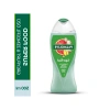 500 ml Greyfurt ve Zencefil Aromalı Duş Jeli, Ferahlatıcı Etki