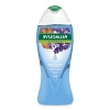 500 ml Nemlendirici Banyo ve Duş Jeli, Sandal ve Lavanta