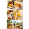 55 ml Mango Oda Kokusu, Dekoratif Cam Şişede Uzun Süreli Koku