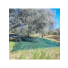 6 M x 6 M Zeytin Toplama Filesi, Dayanıklı ve Pratik