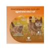 60 tablet kedi ve köpekler için eklem güçlendirici