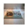 60x40 cm Kaymaz Kedi Yatağı, Serinletici Termo Jel ile