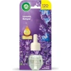 Air Wick Elektrikli Oda Kokusu Yedek Şişe Lavanta Bahçesi 19ML