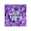 Air Wick Elektrikli Oda Kokusu Yedek Şişe Lavanta Bahçesi 19ML