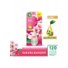 Air Wick Elektrikli Oda Kokusu Yedek Şişe Sakura Bahçesi 19ML