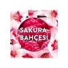 Air Wick Elektrikli Oda Kokusu Yedek Şişe Sakura Bahçesi 19ML