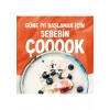 Alpro Şekersiz Hindistan Cevizi Sütü 2x1 L Vegan Laktozsuz Bitkisel Bazlı