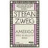Amerigo Tarihsel Bir Yanlışlığın Hikayesi - Stefan Zweig