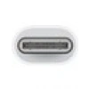 Apple Usb-C - Lightning Adaptörü MUQX3ZM/A