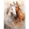 Asil Atlar Temalı Renkli Baskılı Boyama Hobi Seti - 50x65 cm