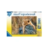 Aslan Temalı 200 Parça Puzzle, Eğlenceli ve Zihin Geliştirici