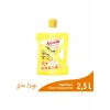 Asperox Gün Işığı Yüzey Temizleyici 2.5 Lt.