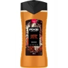 Axe Premium Collection Duş Jeli Copper Santal 3 In 1 Vücut Saç Yüz 300 ml