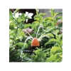 Ayarlanabilir Akış Hızına Sahip 91228 Shrubbler
