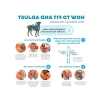 Ayarlanabilir Köpek Yeleği, Turuncu Renk