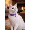 Ayarlanabilir Mor Renkli Zilli Kedi Boyun Tasması