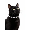 Ayarlanabilir Zilli Kedi Boyun Tasması - Siyah