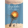 Aynada Batan Güneş - Ahmed Günbay Yıldız