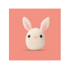 Başlangıç Seviyesi Amigurumi Tavşan Örgü Seti, El Yapımı Oyuncak
