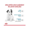 Bebek Köpek Sütü, 400 Gr, Büyüme Desteği
