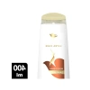 Besleyici Kuru Saç Şampuanı - 400 ml